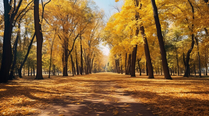 Discover the tranquility of a picturesque autumnal park, where a carpet of yellow leaves creates a breathtaking seasonal spectacle.