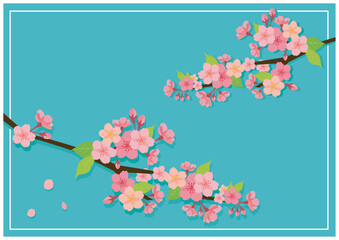 桜のメッセージカード