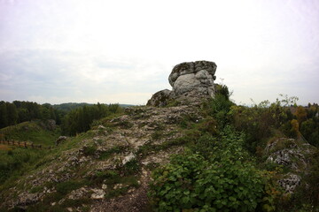Limestone rock, kromołowiec, Sielsia, Poland