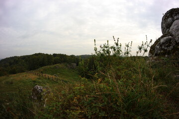 Limestone rock, kromołowiec, Sielsia, Poland