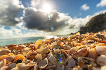 Peaceful beach in Saint Barthélemy (St. Barts, St. Barth) Caribbean