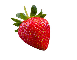 Une belle fraise rouge en PNG