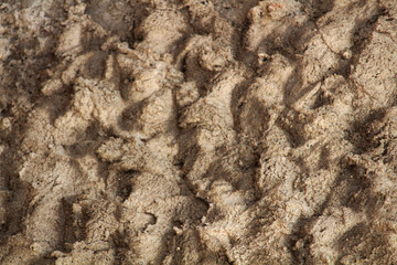 Rough or unequal grunge plaster Wall texture background. 