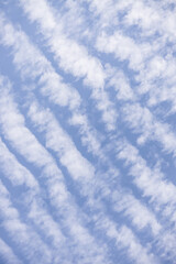 Fototapeta premium Minimalistic cloudy daytime blue sky with cirrus rhythmic clouds for background