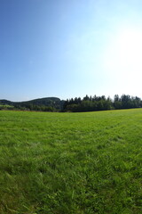 Green sunny landscapes in Czech republic