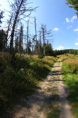 Fototapeta na wymiar Gravel cyclin in czech republic mountains