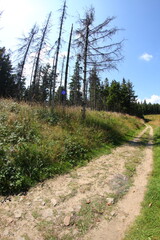 Gravel cyclin in czech republic mountains
