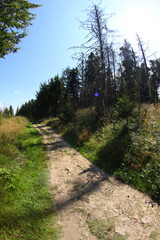 Fototapeta na wymiar Gravel cyclin in czech republic mountains
