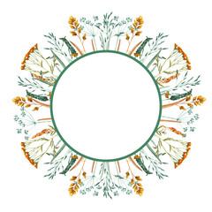 Obraz premium Watercolor frame of bouquet meadow leaves and yellow tansy, flowers, branches and wild dry grass. Evergreen grass field in nature, meadow in springtime. Botany, natural elements. Natural green tones