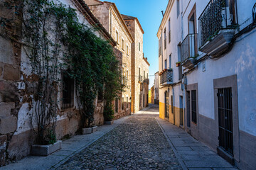 Narrow alley with old houses next to the wall of the medieval city of Caceres