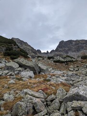 Scenic landscape view of mountains and nature 