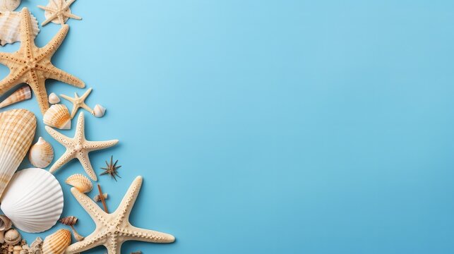 A blue background is adorned with starfish and seashells.