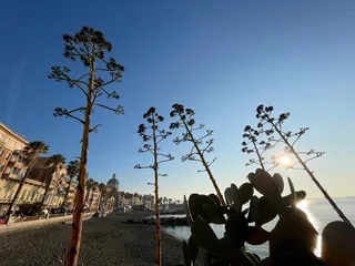 Fototapete Rund spiaggia di Genova Pegli in liguria © Marco