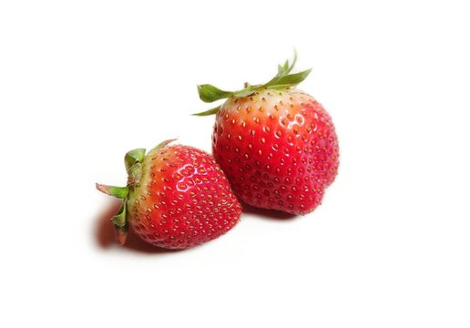 The Strawberry is a widely grown hybrid species of the genus Fragaria (Fragaria × ananassa) which are cultivated worldwide for their fruit. It is widely appreciated for its  aroma, bright red colors. 