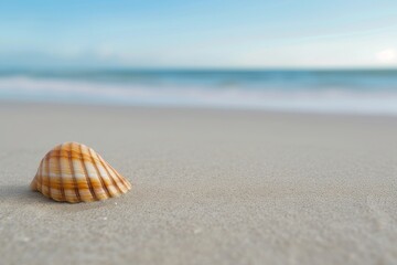 Fototapeta na wymiar A delicate conch shell lies on the sandy beach, a reminder of the mysterious and enchanting world of molluscs that lie beneath the ocean's surface