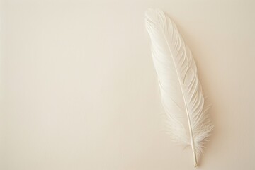 A solitary white feather rests upon a blank canvas, a reminder of the power of the written word and the delicacy of inspiration