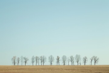 A serene winter scene of a lone row of trees standing tall in a vast savanna, under a clear blue...