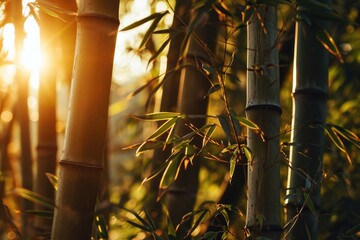 a close up of bamboo