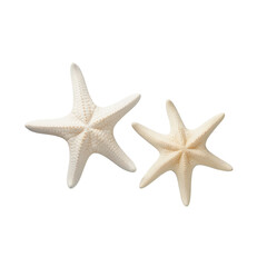 Fototapeta na wymiar two different types of white starfish isolated over a transparent background