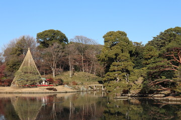 Daisensui Pond and Yukitsuri (snow hanging) in Rikugien Garden, Tokyo, Japan