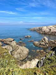 Fototapeta na wymiar Blue ocean view, rocky coast with colorful plants, vivid ocean coast, natural colors, blue sky, summer