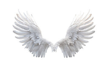  white angel wings isolated