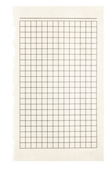 Sheet of white checkered paper torn from a notebook, isolated. Detached section of grid paper.
