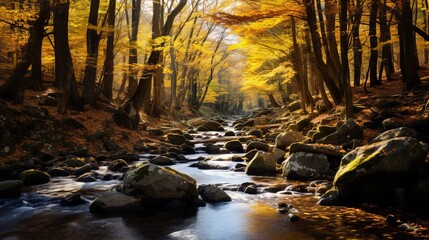 The mountains are covered in autumn woods, with yellow maple trees and a creek that has rocks and foliage.
