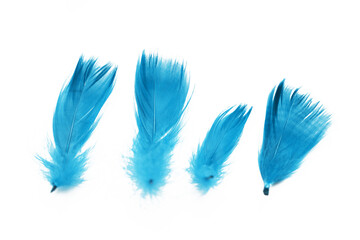 Feathers isolated on white. Bird feather cutout. Soft cotton background. Various shapes fluffy bird...