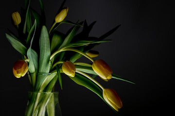 Sunny Elegance: A Bouquet of Yellow Tulips