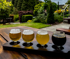 Flight of beer samples presented in a brewery in New Zealand.