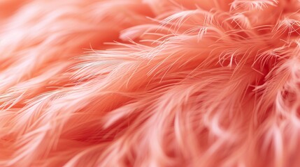 Pastel pink colored of feathers in soft and blur style for the background - AI Generated Abstract Art