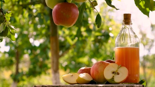 apple cider vinegar on a garden background. Selective focus.