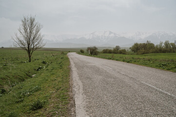 Fototapeta na wymiar empty road in the middle of a green field against the background of mountains on a cloudy day in spring