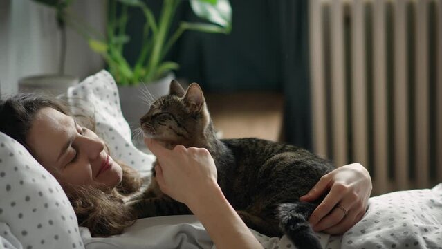 A young Caucasian woman and her gentle gray cat are relaxing lying in bed in the morning