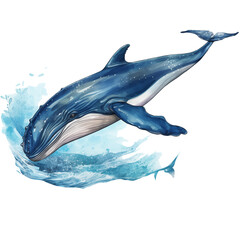 Blue Whale watercolor illustration png isolated on a transparent background, clipart 