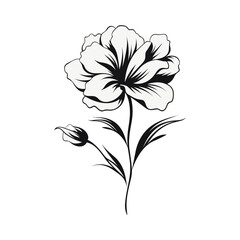 Beautiful minimalist flower illustration art.