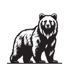 brown bear vector illustration, Standing bear Illustrations
