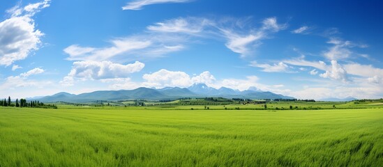 Fototapeta na wymiar Natural scenic panorama green field. generate ai