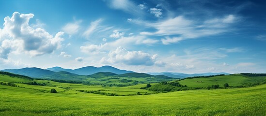 Natural scenic panorama green field. generate ai