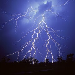 Naklejka na ściany i meble A forked lightning strikes the ground during a thunderstorm