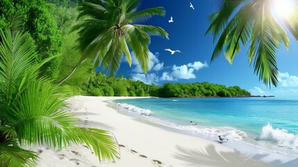 The beach is full of white sand and green palm trees with the blue ocean in the background