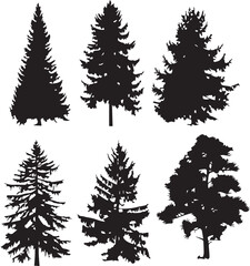 Obraz premium Set Trees. Hand drawn vector illustration 