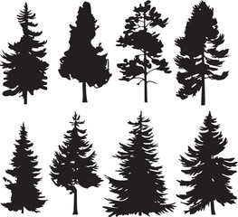 Obraz premium Set Trees. Hand drawn vector illustration 