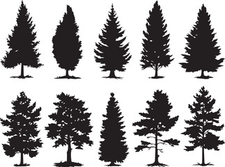 Fototapeta premium Set Trees. Hand drawn vector illustration 