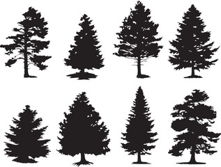 Set Trees. Hand drawn vector illustration	