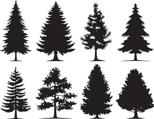 Fototapeta premium Set Trees. Hand drawn vector illustration 