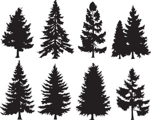 Obraz premium Set Trees. Hand drawn vector illustration 