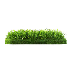 3d rendering green grass clip art