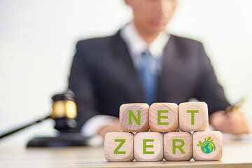 law net zero law maker and lawyer making environmental protection